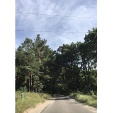 Продаж у мальовничому місці