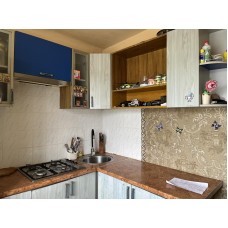 1 кімн. квартира в с. Малинівка, 5/5