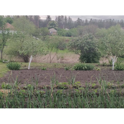 Продам будинок в Малинівці,  60 м2