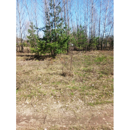 Продам земельну ділянку в с. Малинівка