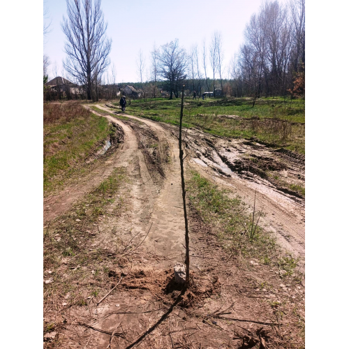 Продам земельну ділянку в с. Малинівка