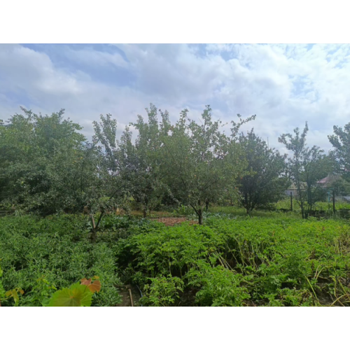 Продам будинок в Малинівці,  69 м2