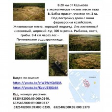 Продам 3 га земли в с. В. Бабка Чугуевского р-на