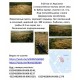 Продам 3 га земли в с. В. Бабка Чугуевского р-на